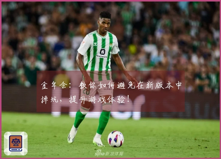金年会：教你如何避免在新版本中掉坑，提升游戏体验！