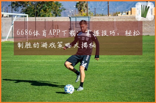6686体育APP下载：掌握技巧，轻松制胜的游戏策略大揭秘