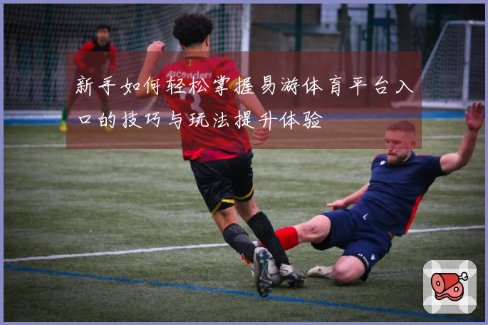 新手如何轻松掌握易游体育平台入口的技巧与玩法提升体验