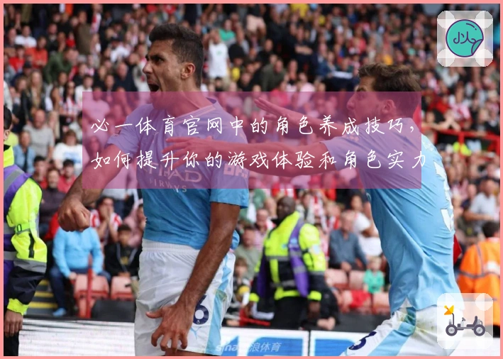 必一体育官网中的角色养成技巧,如何提升你的游戏体验和角色实力