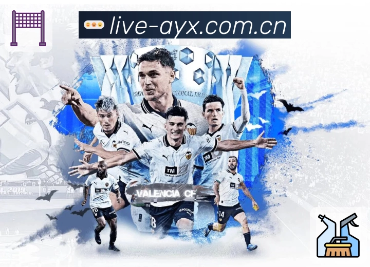 安全使用与支持流程